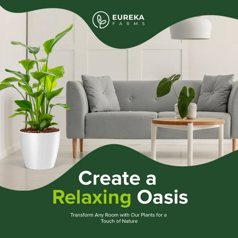 BIRD_WHITE_OASIS